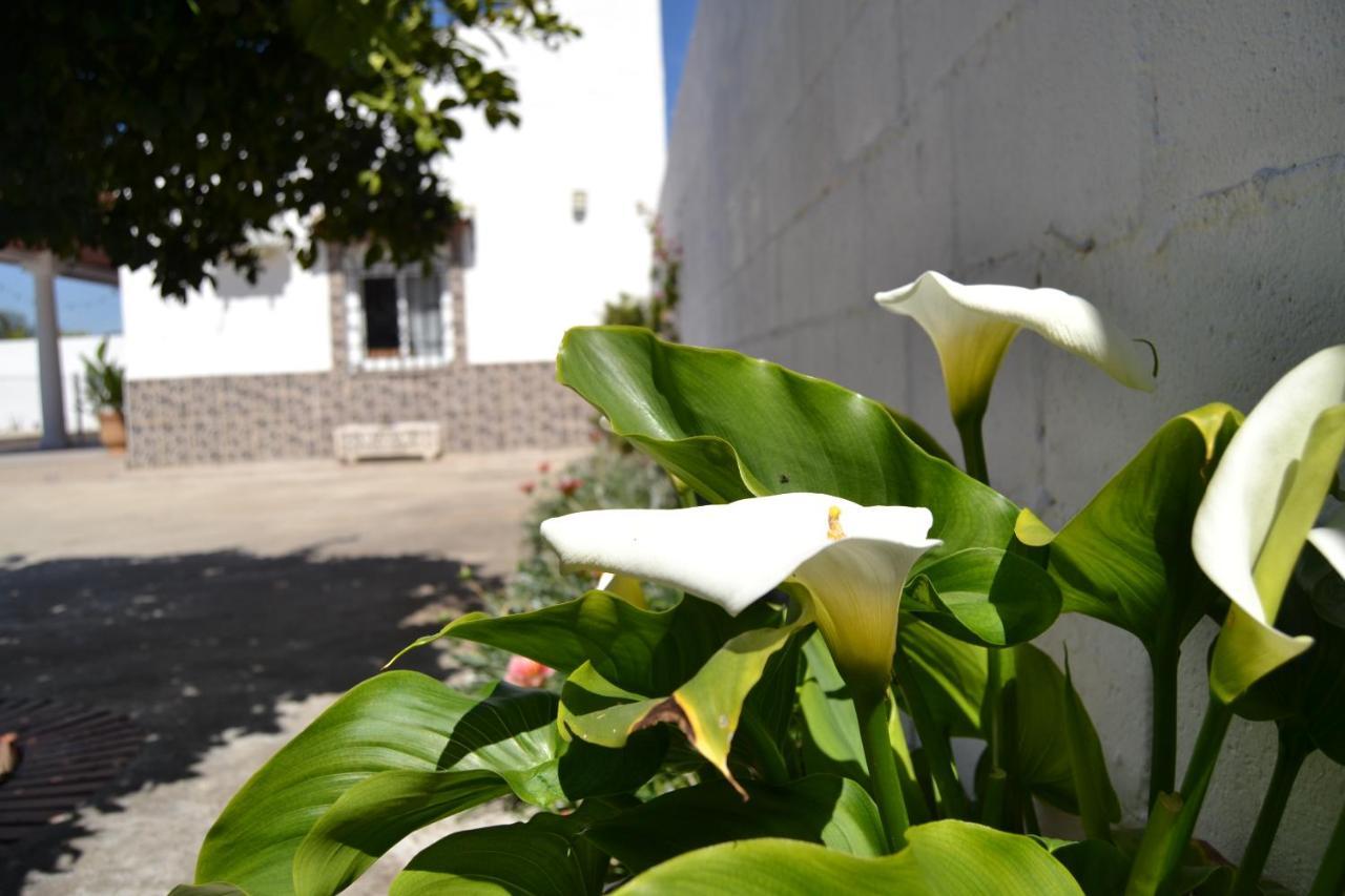La Orquidea De Cordoba Villa Exterior photo